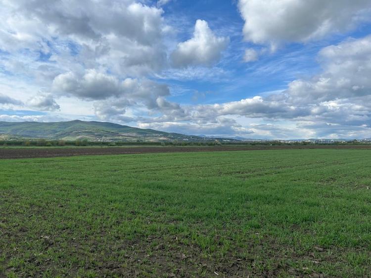 Teren agricol intravilan de 1600 mp, în Oarda