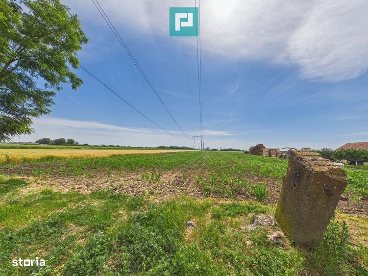 Teren extravilan in suprafata de 10.000 mp, Arad - 5