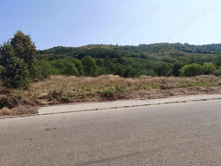 Teren de 3750 mp, în Verdea