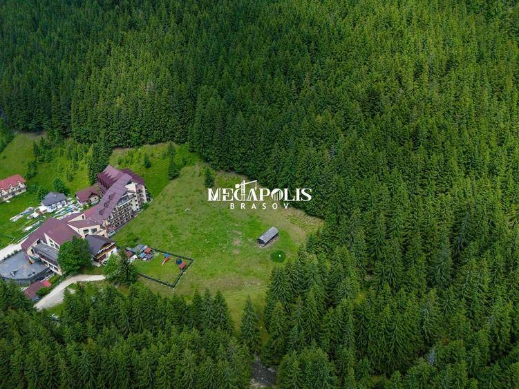Teren Construcții intravilan de 12307 mp, în Moieciu de Sus