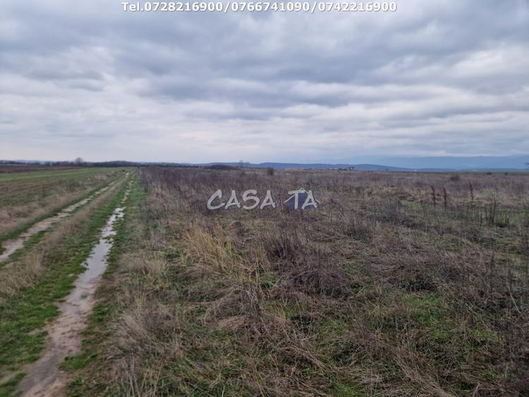 Teren Construcții extravilan de 5900 mp, în Central