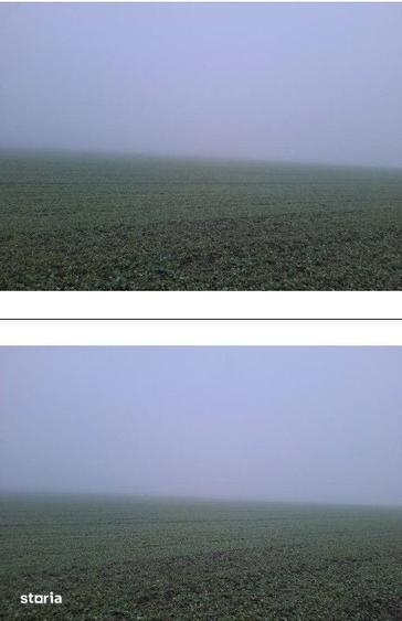 Teren de 4040 mp, în Troianul