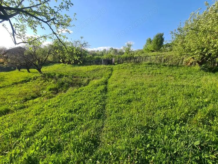 Teren de 950 mp, în Păușești