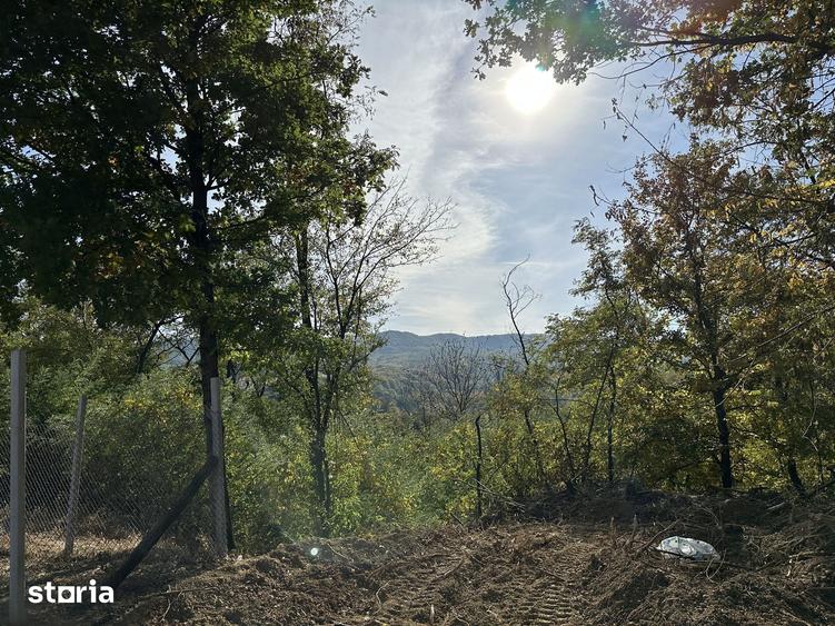 Teren de 440 mp, în Bujoreni