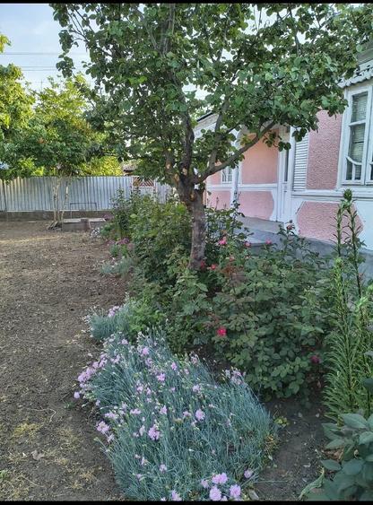 Casă cu 1 camere în Exterior Vest