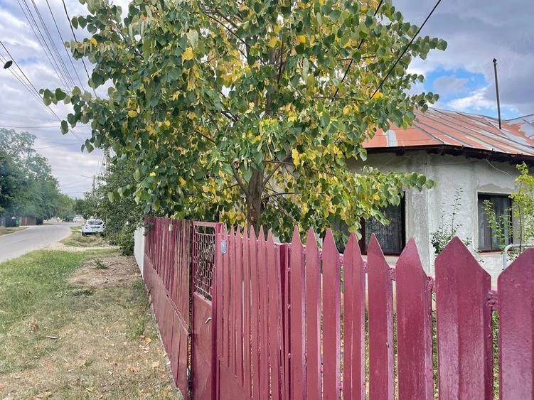 Casă cu Teren 1000 Mp în Teișori