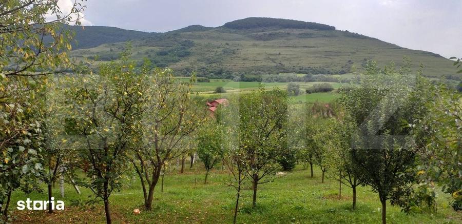 Teren de 1617 mp, în Mintiu Gherlii