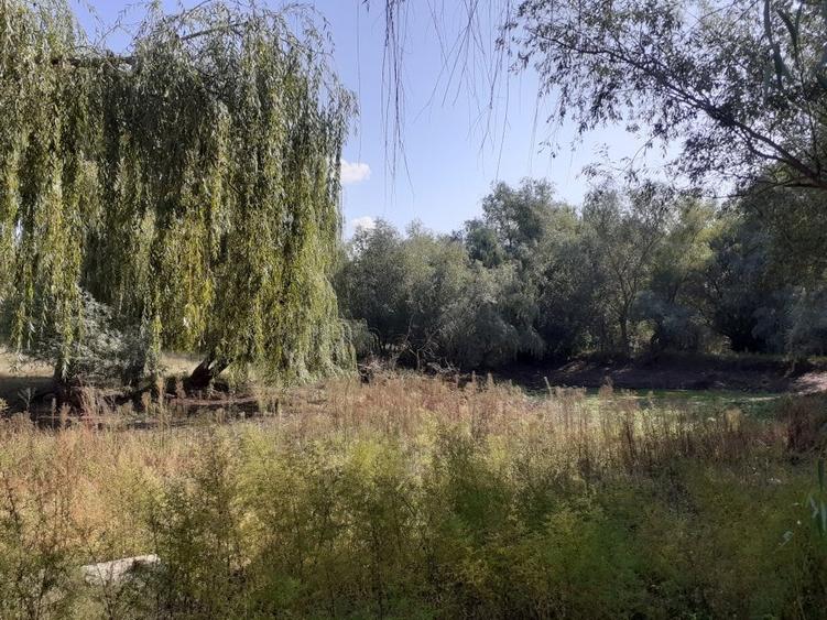 Teren Construcții intravilan de 3269 mp, în Central