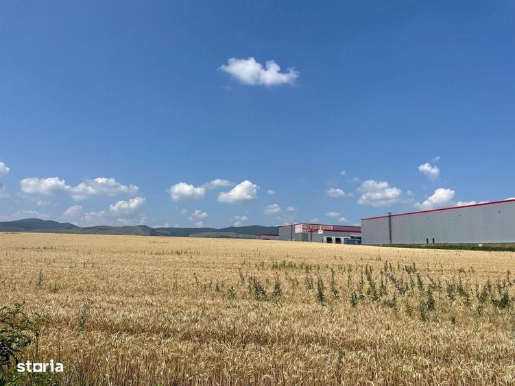 Spațiu comercial, în Tunari