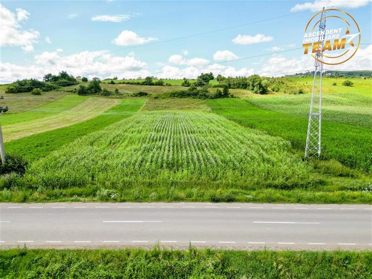 Teren Construcții extravilan de 7400 mp, în Sâncraiu