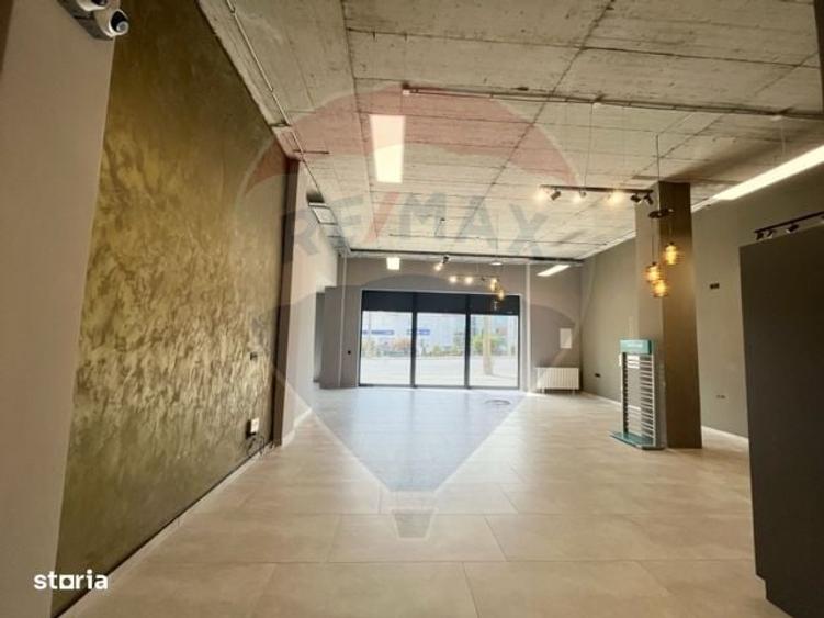 Spatiu comercial de inchiriat, Turnisor, acces stradal - 3