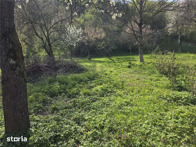 Casă cu 3 camere cu Teren 3748 Mp în Nădrag