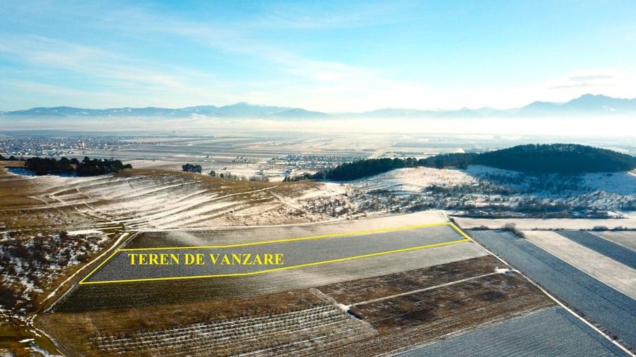 Teren Construcții intravilan de 35000 mp, în Sânpetru