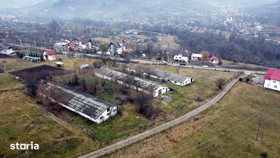 Teren de 8574 mp, în Corbeni