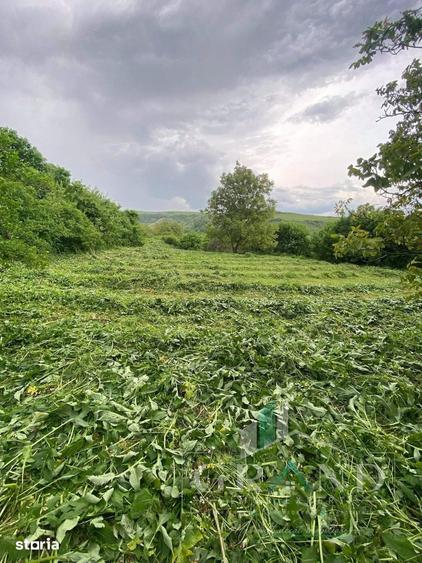 Teren 2200 mp, in Radaia, com Baciu - 1