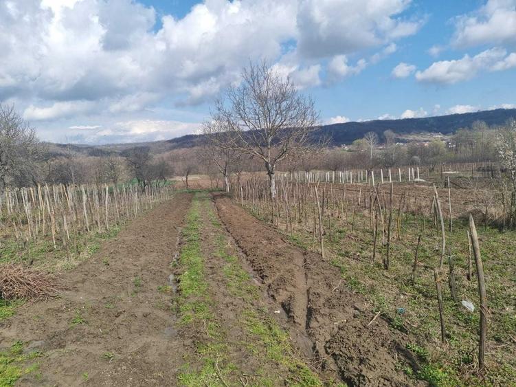 Casă cu 3 camere în Mereșești