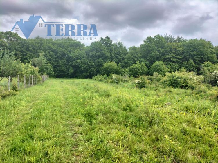 Teren Construcții intravilan de 1100 mp, în Est