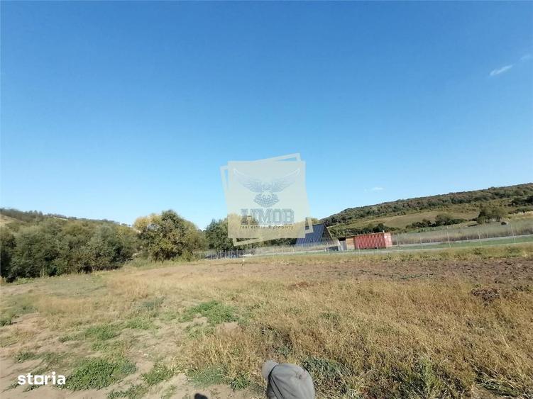 Spațiu comercial, în Șura Mare