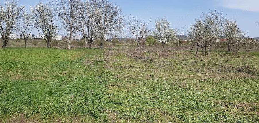 Teren de 500 mp, în Mărăcineni
