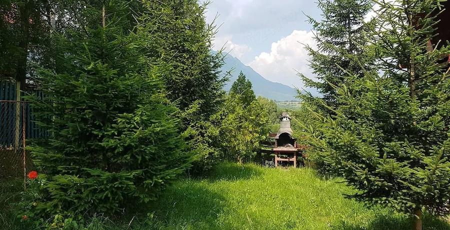 Casă cu Teren 322 Mp în Tohănița