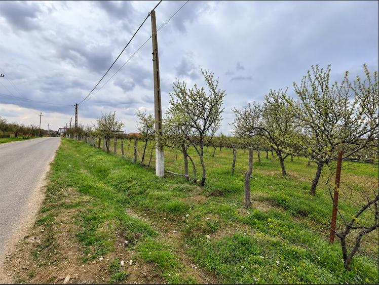 Teren Construcții intravilan de 8200 mp, în Ceretu