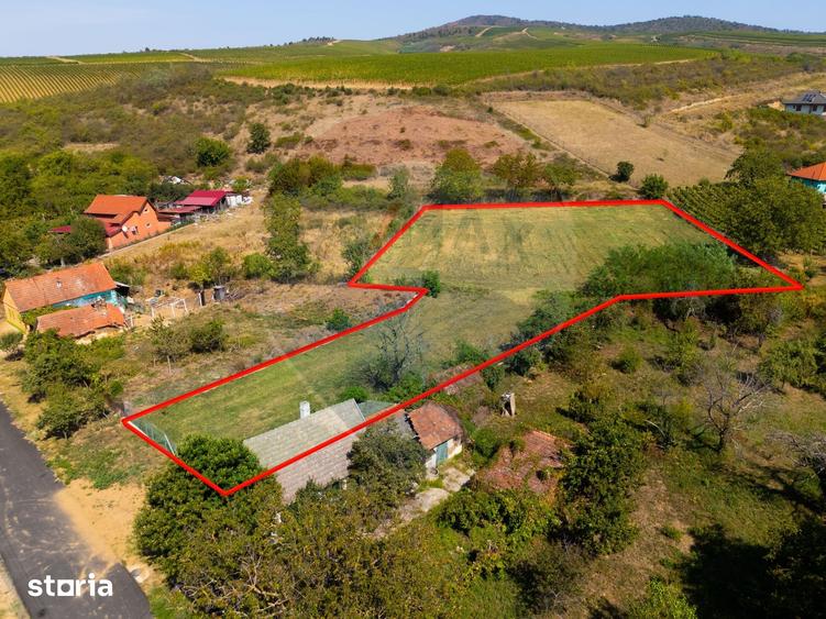 Teren de 4184 mp, în Ghioroc