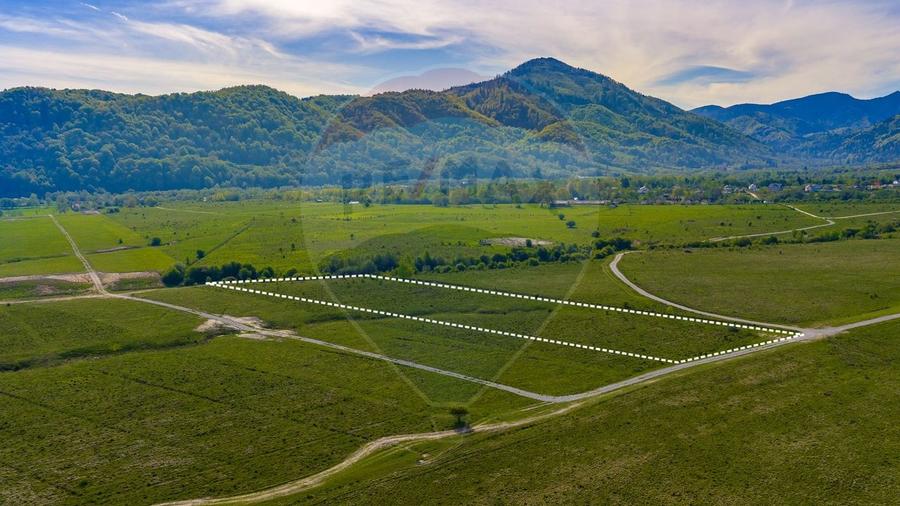 Teren agricol extravilan de 13800 mp, în Glăjărie