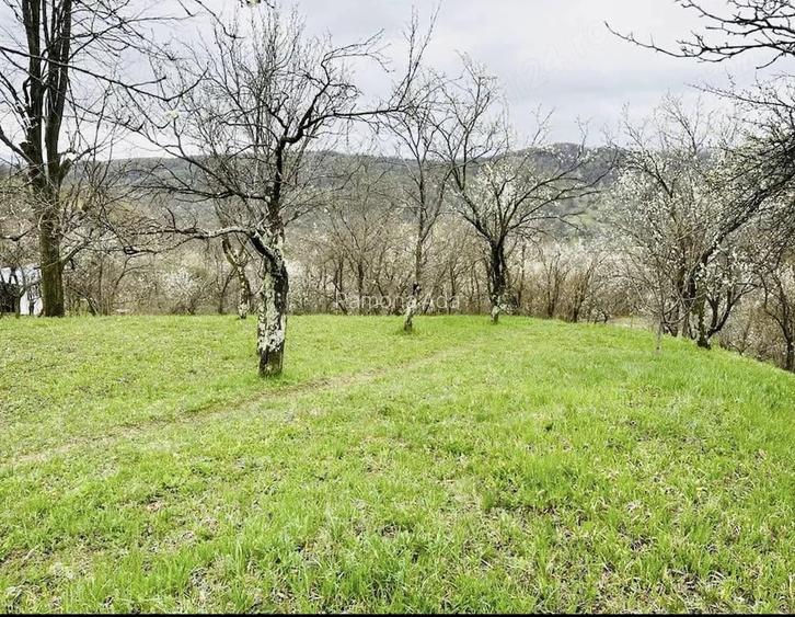 Vand teren intravilan, zona de munte superba!