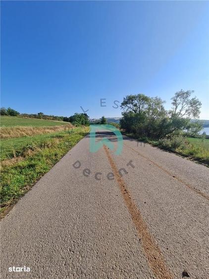 Teren de 50000 mp, în Moacșa