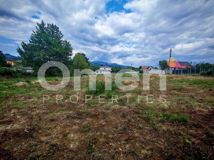 Teren Construcții intravilan de 2500 mp, în Vest