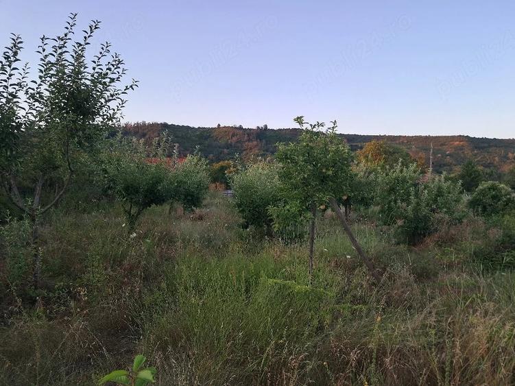 Teren de 1600 mp, în Șerbești