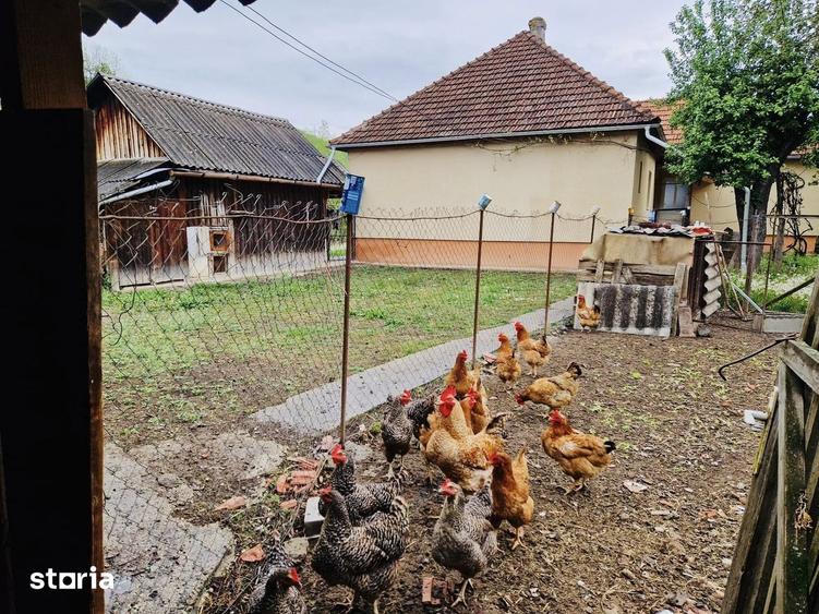 Casă cu 4 camere cu Teren 1345 Mp în Central