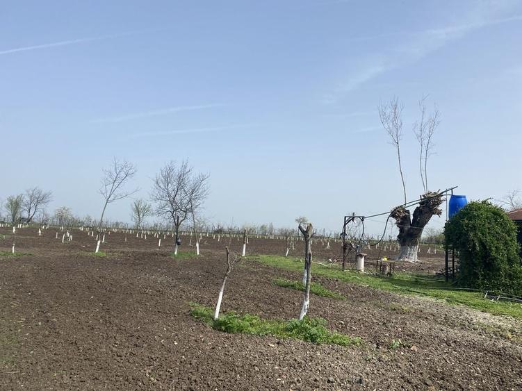 Casă cu 4 camere cu Teren 8500 Mp în Răsuceni