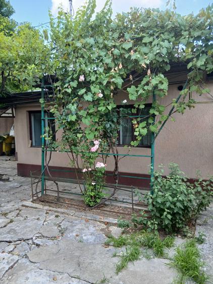 de vanzare casa si teren cu certificat de urbanism andronache - 1