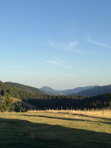 Teren de 15000 mp, în Poienița