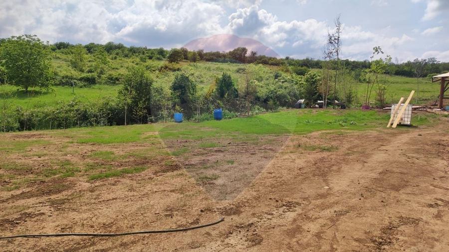Teren Construcții intravilan de 1200 mp, în Săldăbagiu de Munte