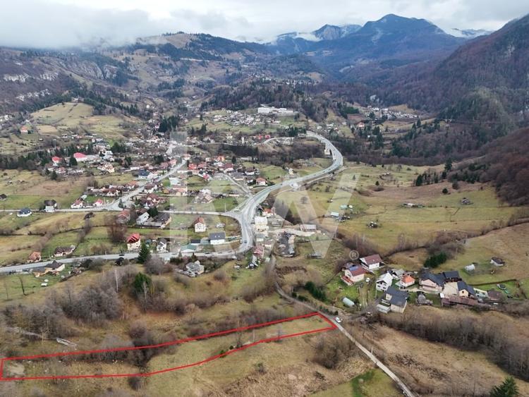 Teren Construcții intravilan de 3726 mp, în Dâmbovicioara