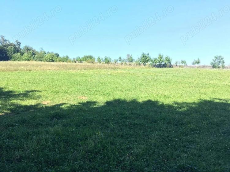 Teren de 5400 mp, în Oglinzi