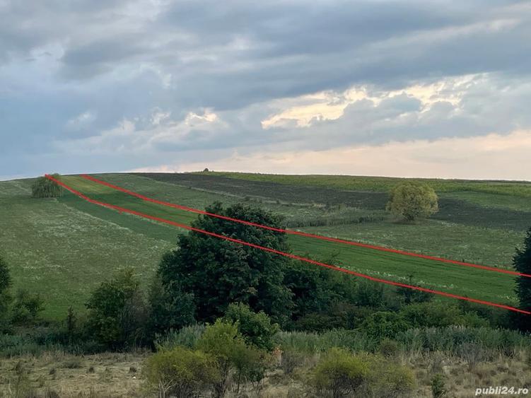 Teren de 11500 mp, în Târgu Neamț