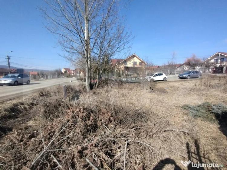Teren intravilan 500mp(5 ari)la drumul pricipal,Valea Sigmir - 3