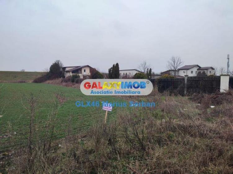 Lot de casa Clinceni - 2