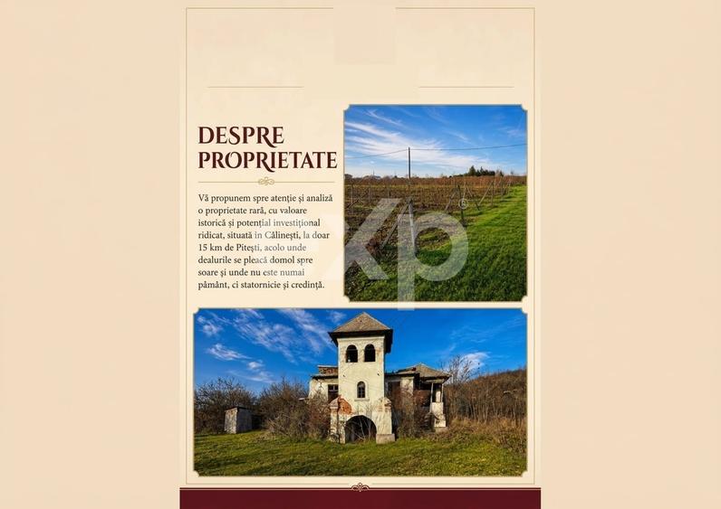 Teren agricol intravilan de 53560 mp, în Vrănești