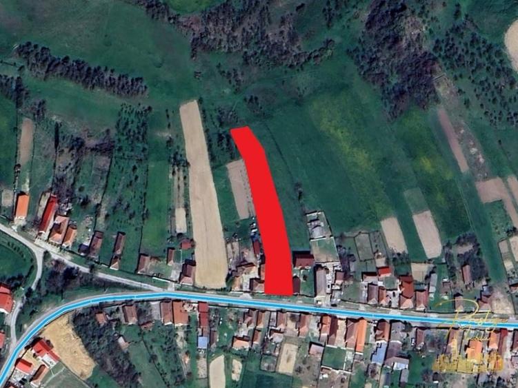 Teren Construcții intravilan de 3255 mp, în Tășad