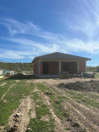 Casa 4 cam langa padure , Alparea - 4