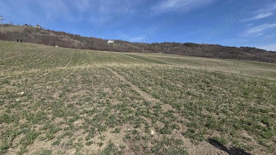 Teren de 600 mp, în Central