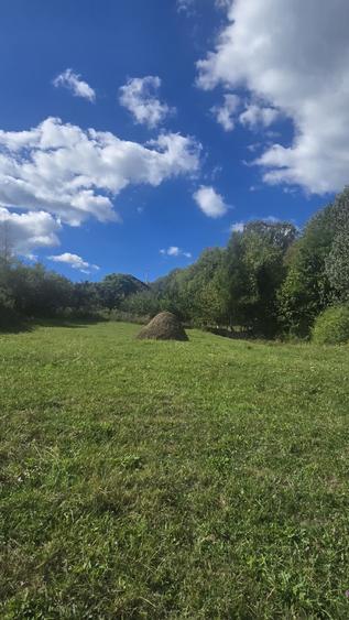 Teren de 970 mp, în Pietrișu