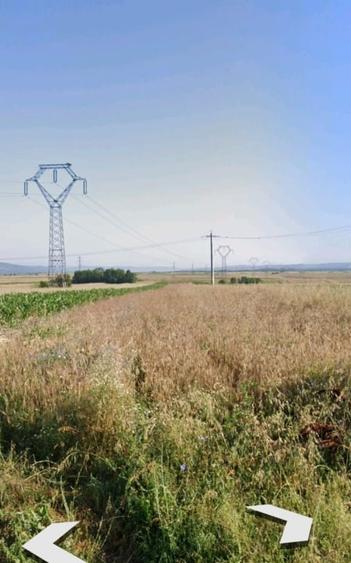 Teren - 5.000 mp ,  Fratoștița - 2