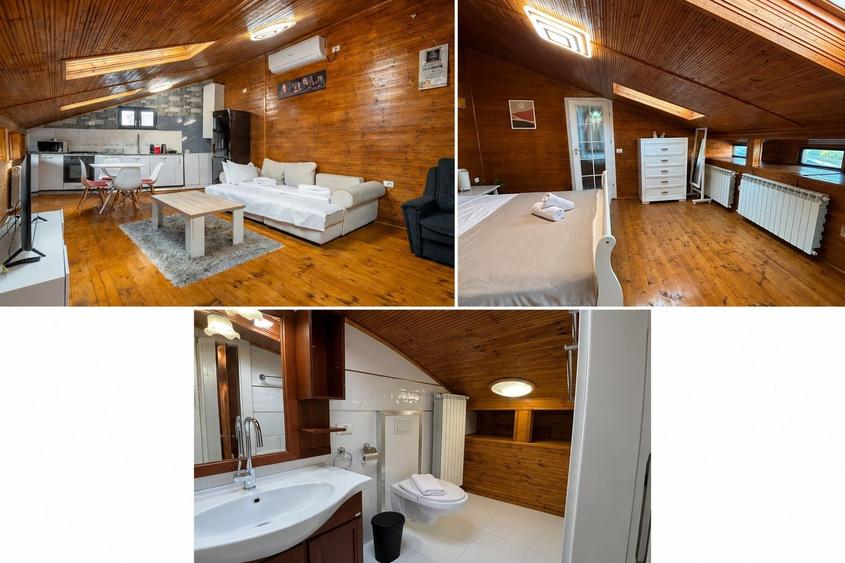 Apartamente de inchiriat zona Tineretului - Parcul Carol - 9