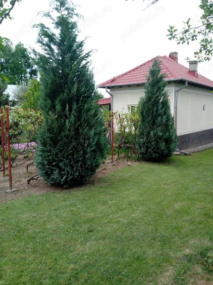 Casă cu 3 camere cu Teren 2850 Mp în Băiculești
