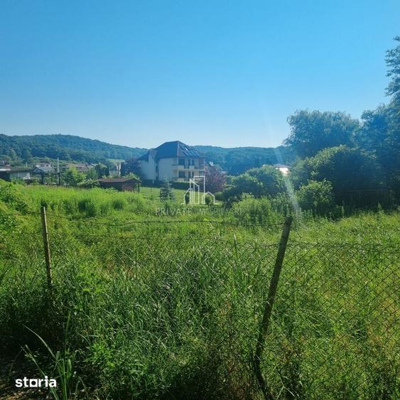 Teren Extravilan/Padure 90 000 Mp de Vanzare Zona Corunca/Acatari - 3